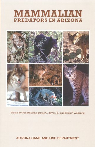 Stock image for Mammalian Predators in Arizona for sale by HPB-Red