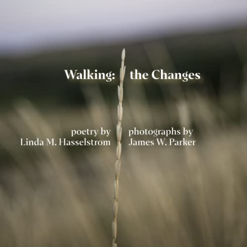 Stock image for Walking the Changes for sale by Irish Booksellers