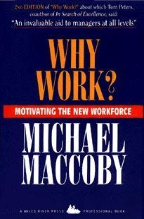 Imagen de archivo de Why Work?: Motivating the New Workforce a la venta por ThriftBooks-Dallas