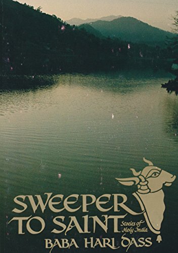 Imagen de archivo de Sweeper to saint a la venta por Books From California