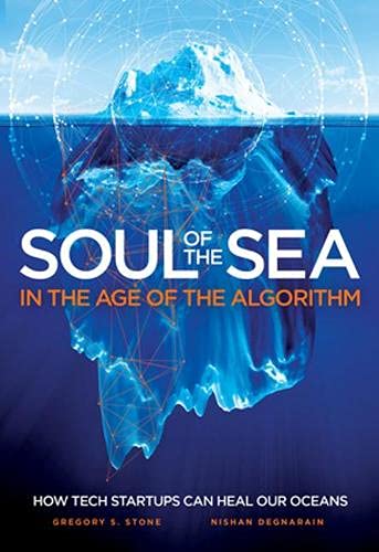 Stock image for Soul of the Sea : In the Age of the Algorithm for sale by Better World Books: West
