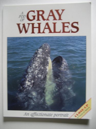 Stock image for A Pod of Gray Whales for sale by Hippo Books