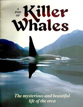 Stock image for Pod of Killer Whales for sale by ThriftBooks-Dallas