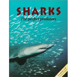 Beispielbild fr Sharks : The Perfect Predators zum Verkauf von Wonder Book