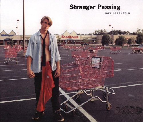Stock image for Stranger Passing for sale by Gerry Kleier Rare Books
