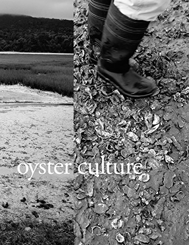 Immagine stock per Oyster Culture