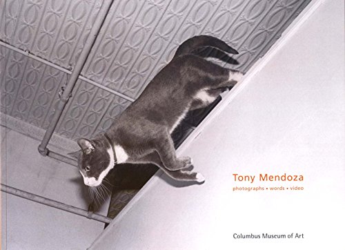 Beispielbild fr Tony Mendoza : Photographs, Words, Video zum Verkauf von ANARTIST