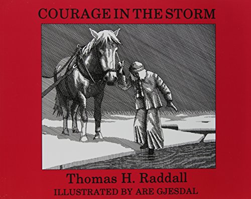 Stock image for Courage in the Storm for sale by ABC:  Antiques, Books & Collectibles