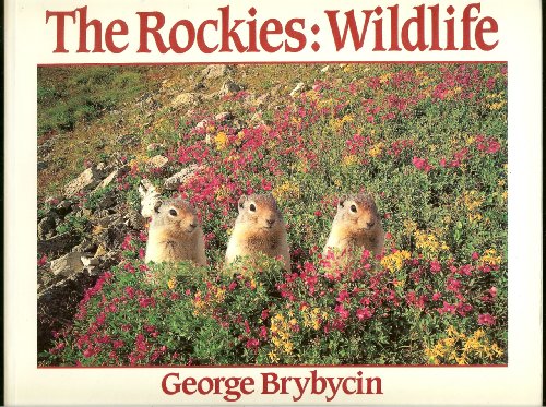 Stock image for The Rockies: Wildlife (A Pictoral Guide to the Wildlife of the Canadian Rockies) for sale by Wonder Book