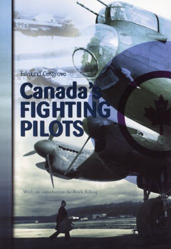 Imagen de archivo de Canada's Fighting Pilots a la venta por KULTURAs books
