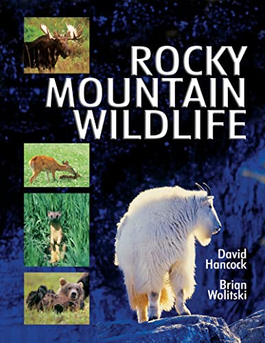 9780919654372: Rocky Mountain Wildlife