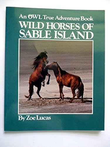 Imagen de archivo de Wild Horses of Sable Island (An Owl True Adventure Book) a la venta por Red's Corner LLC