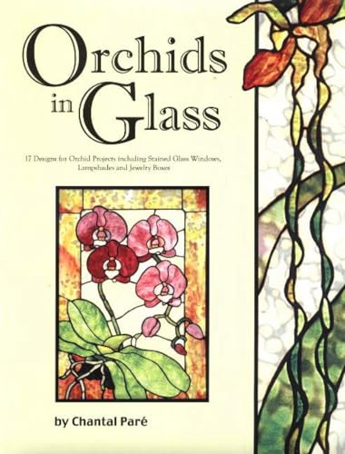 9780919985391: Orchids in Glass - 17 Designs of Stained Glass Windows Lamps & Boxes