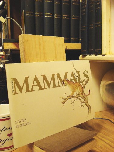 Imagen de archivo de Mammals In Profile a la venta por Half Price Books Inc.