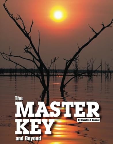 Beispielbild fr Master Key zum Verkauf von Revaluation Books