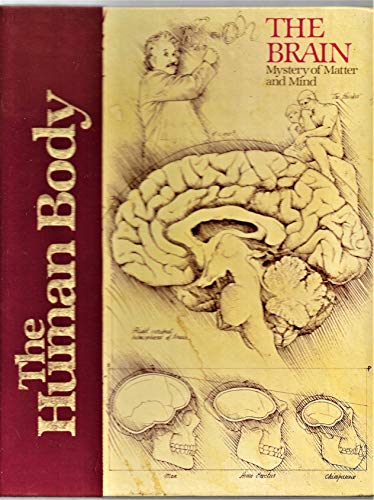 Imagen de archivo de The Brain : Mystery of Matter and Mind (Human Body) a la venta por Better World Books