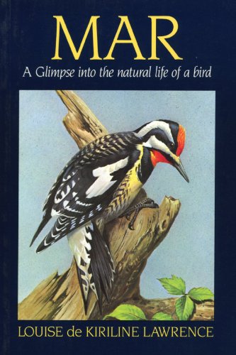 Beispielbild fr Mar A Glimpse into the Natural Life of a Bird zum Verkauf von TextbookRush