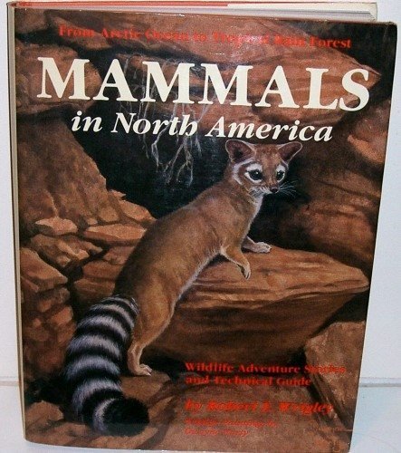 Stock image for Mammals in North America: From Arctic Ocean to Tropical Rain Forest : Wildlife Adventure Stories and Technical Guide for sale by Olmstead Books
