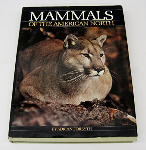 Stock image for Mammals of the American North for sale by HPB-Diamond