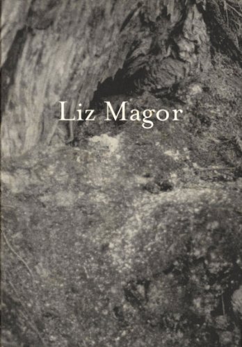 9780920751770: Liz Magor