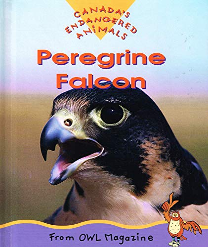 Beispielbild fr Peregrine Falcon zum Verkauf von Better World Books