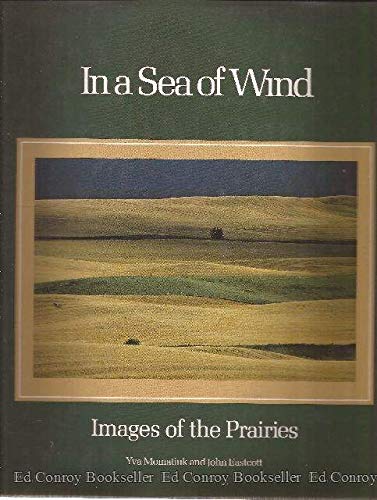 Imagen de archivo de In a sea of wind: Images of the Prairies a la venta por BookResQ.