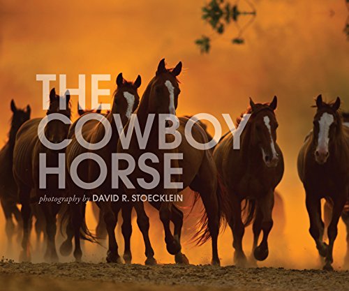Imagen de archivo de Cowboy Horse a la venta por -OnTimeBooks-