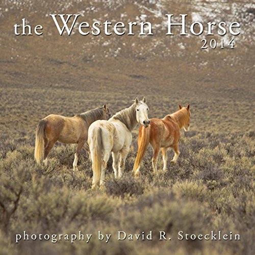 9780922029419: The Western Horse 2014