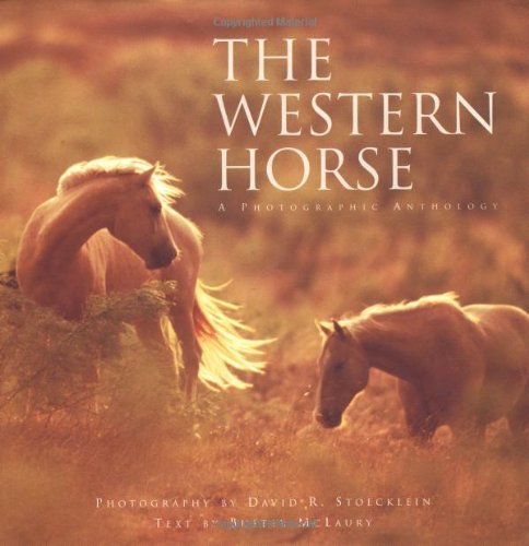 The Western Horse : A Photographic Anthology - Dodds, Darryll, Stoecklein, David R., McLaury, Buster, Dorrance, Tom