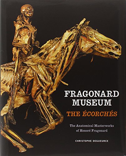 Beispielbild fr Fragonard Museum: The corchs Format: Hardcover zum Verkauf von INDOO