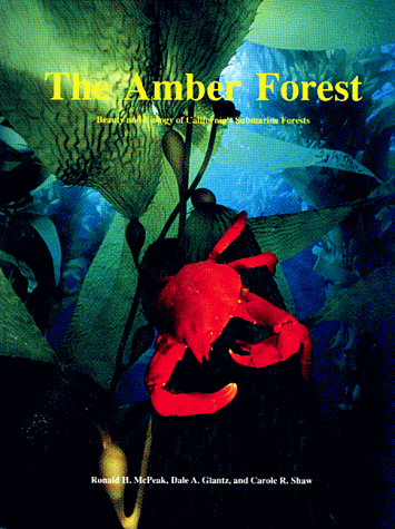 Imagen de archivo de The Amber Forest : Beauty and Biology of California's Submarine Forests a la venta por Better World Books: West