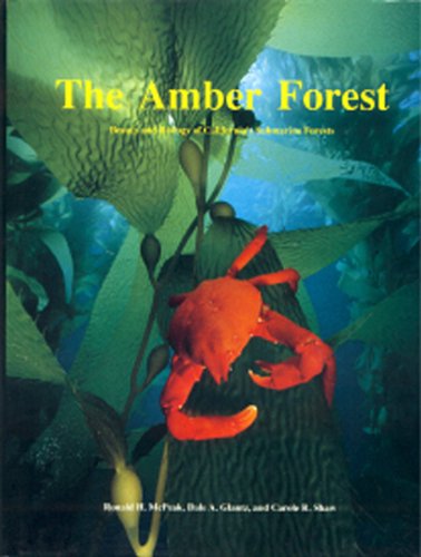 9780922769018: Amber Forest: Beauty And Biology Of California's Submarine Forests