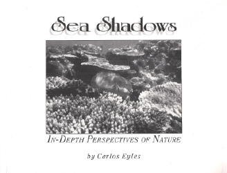 Stock image for Sea Shadows: In-Depth Perspectives of Nature for sale by ThriftBooks-Atlanta