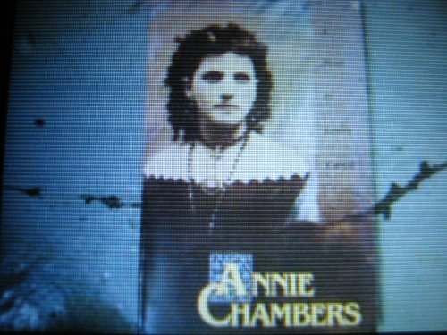 Beispielbild fr Annie Chambers zum Verkauf von Better World Books