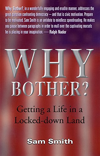 Stock image for Why Bother?: Getting a Life in a Locked-Down Land for sale by Wonder Book