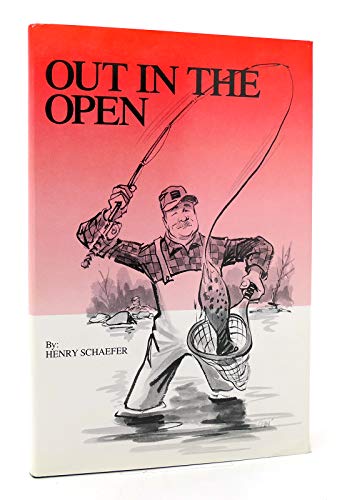 Stock image for Out in the Open for sale by Isle of Books