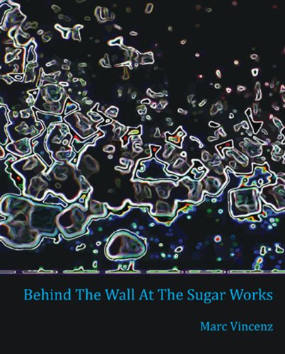 Imagen de archivo de Behind the Wall at the Sugar Works a la venta por Revaluation Books