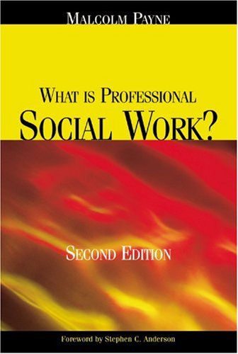 Imagen de archivo de What Is Professional Social Work? a la venta por Better World Books