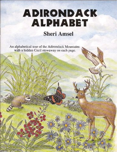 Stock image for Adirondack Alphabet Book: An Alphabetical Tour of the Adirondack Mountains for sale by Gulf Coast Books