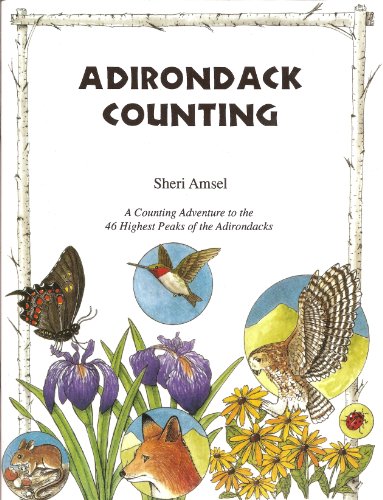 Stock image for Adirondack Counting Book: A Counting Trip to the 46 Highest Peaks of the Adirondacs for sale by G.J. Askins Bookseller