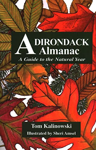 Stock image for Adirondack Almanac: A Guide to the Natural Year for sale by ZBK Books