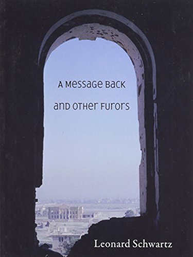 Imagen de archivo de A Message Back and Other Furors a la venta por Housing Works Online Bookstore