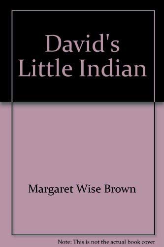 9780929077024: David's Little Indian
