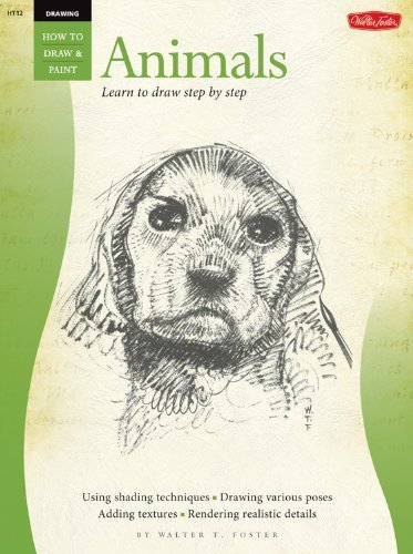 Imagen de archivo de Drawing: Animals (HT12) a la venta por Wonder Book