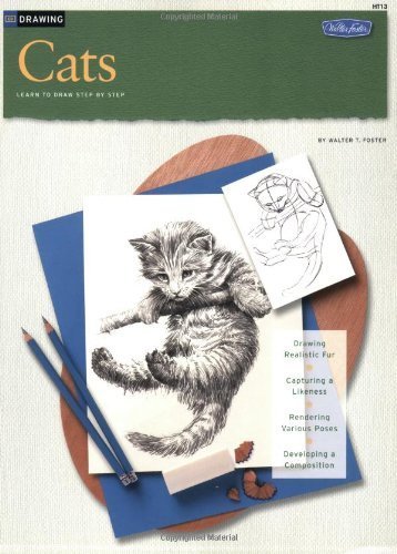 Imagen de archivo de Drawing: Cats (HT13) a la venta por Revaluation Books