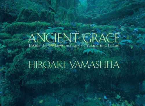 Stock image for Ancient Grace: Inside the Cedar Sanctuary of Yakushima Island for sale by SecondSale