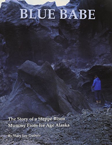 Blue Babe: The Story of a Steppe Bison Mummy from Ice Age Alaska