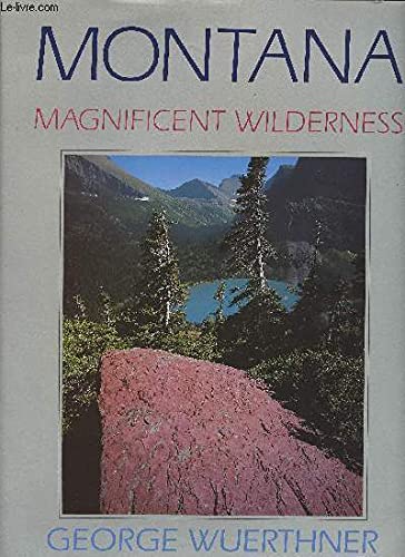 Imagen de archivo de Montana, Magnificent Wilderness a la venta por SecondSale