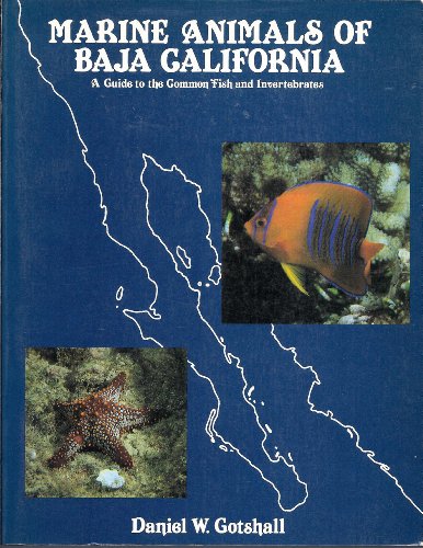 Imagen de archivo de Marine Animals of Baja California: A Guide to the Common Fish and Invertebrates a la venta por Once Upon A Time Books
