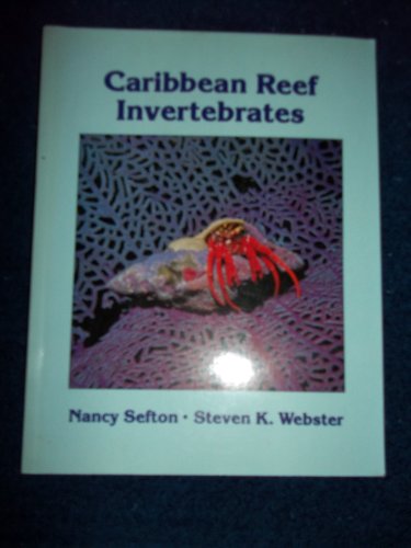 Stock image for A Field Guide to Caribbean Reef Invertebrates: A Special Publication of the Monterey Bay Aquarium Foundation for sale by Wonder Book